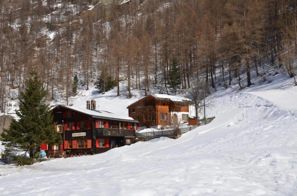 萨斯阿尔马格尔Haus Alpenperle公寓 外观 照片